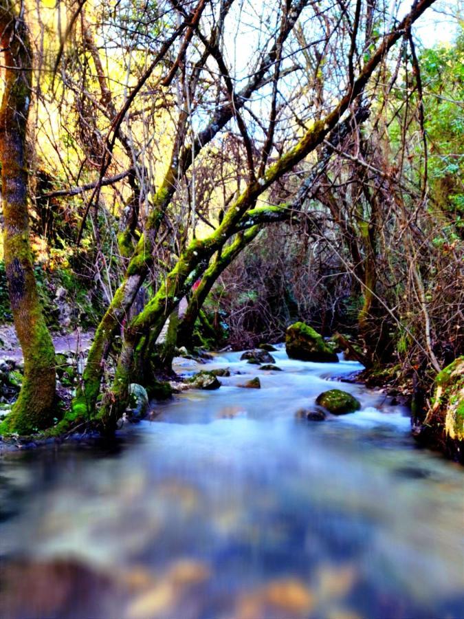 La Casa Del Naturalista Эль-Боске Экстерьер фото